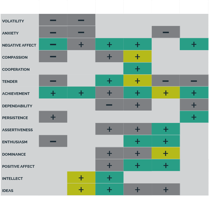 A table showing Meaningful Relationships between Interest and Personality Facets